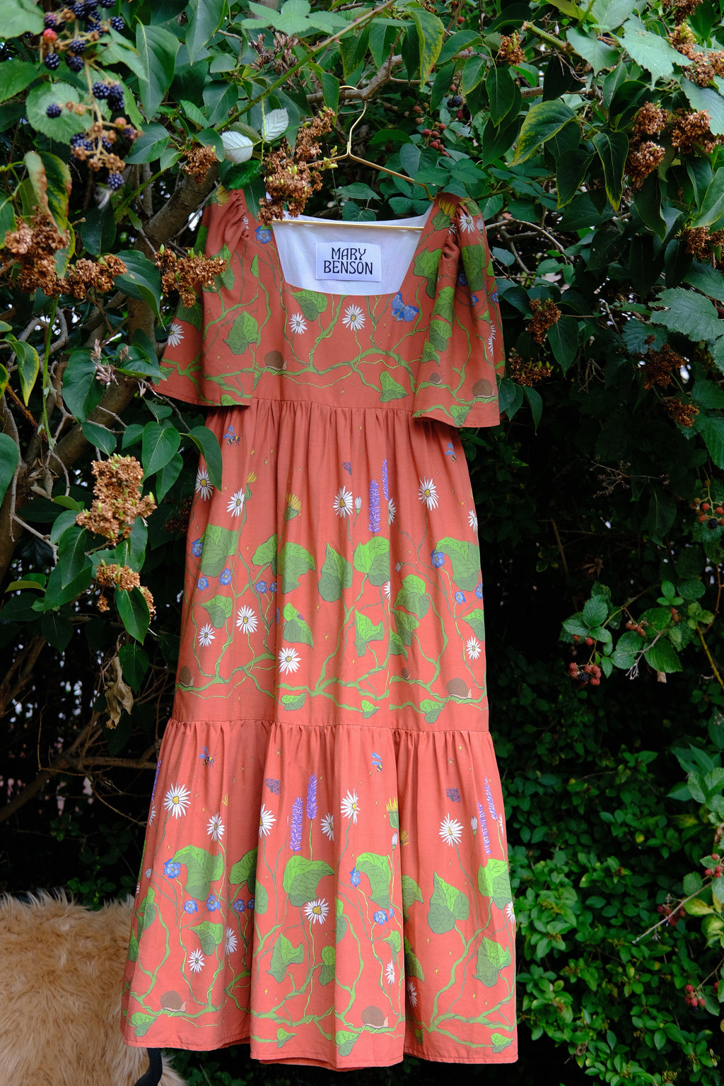 Cora in Hedgerow