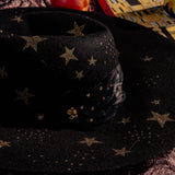 Black Wide Brim Hat with Feather Detail (BIBA)