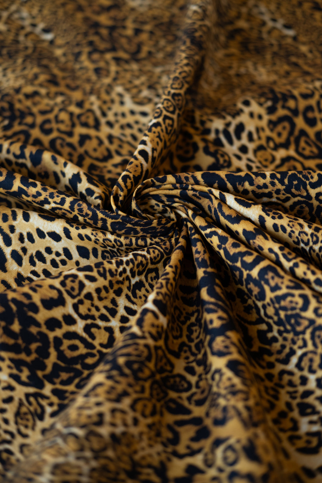 Florence in Leopard