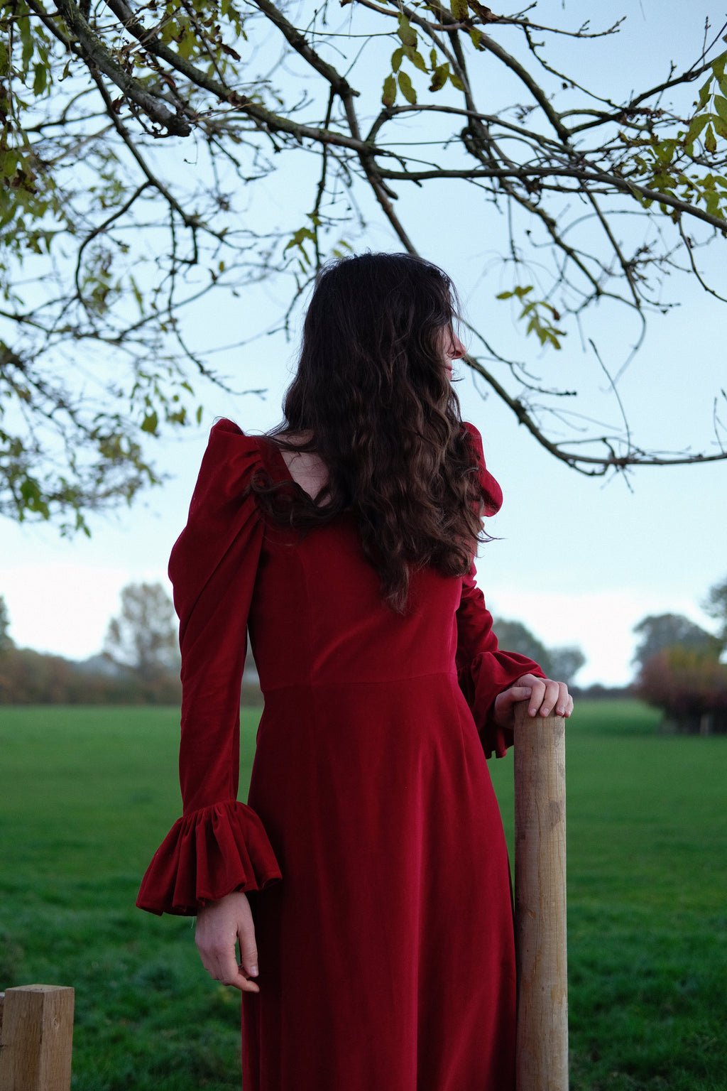 Elizabeth in Claret Velvet
