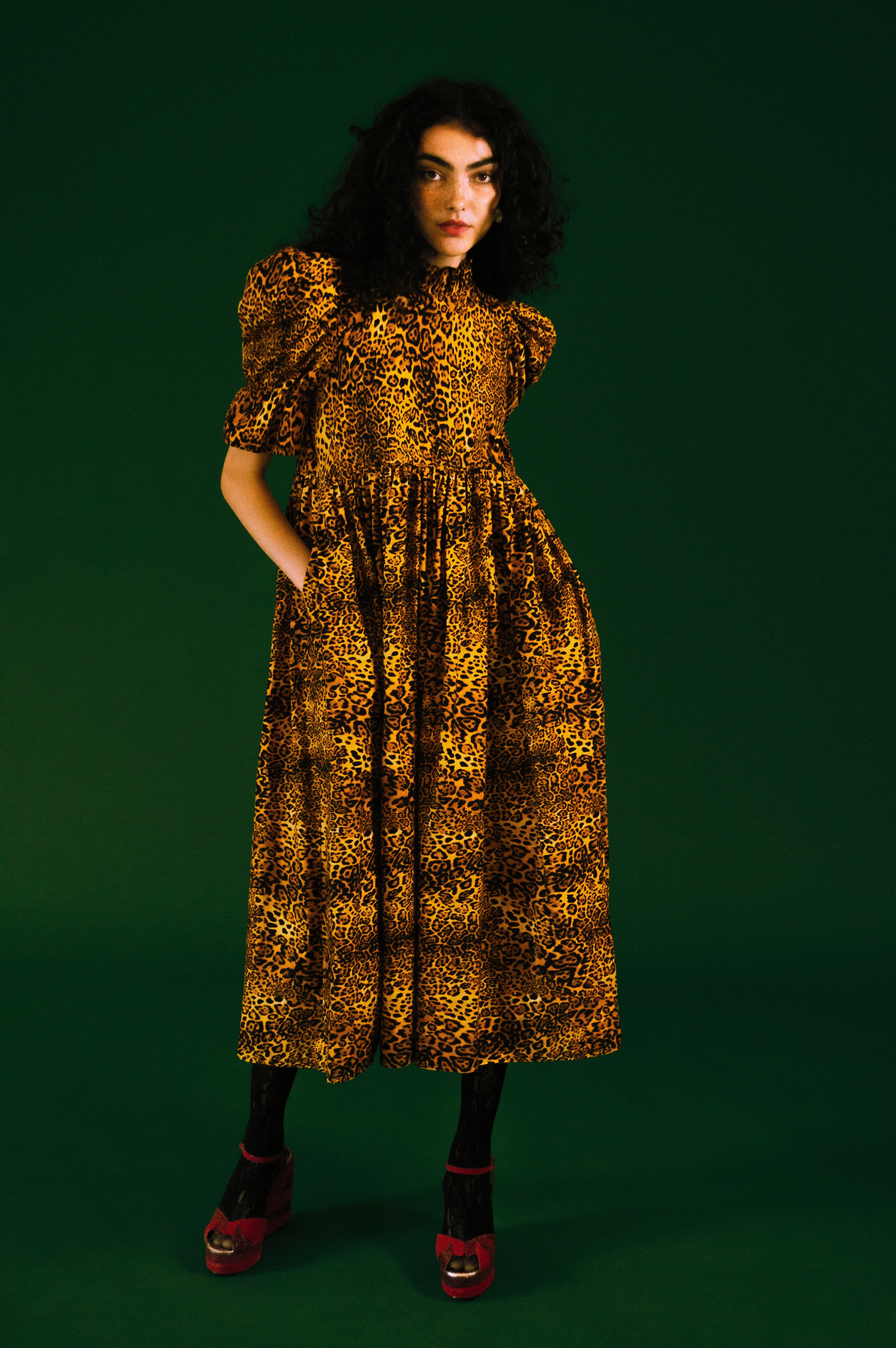 Quentin in Leopard