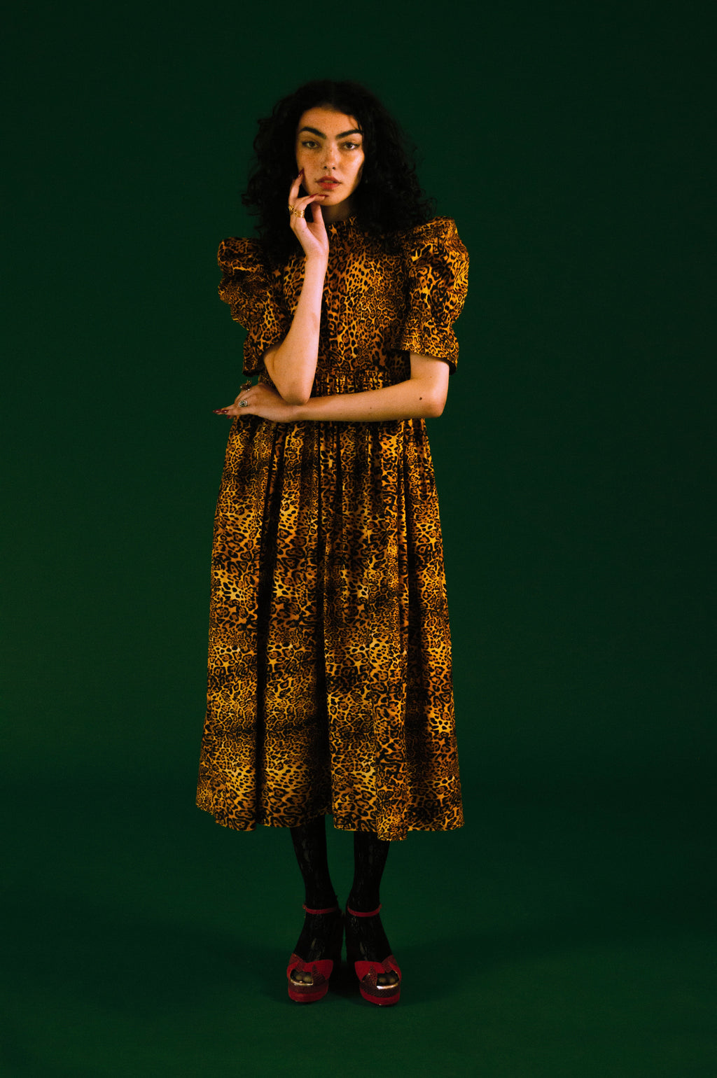 Quentin in Leopard