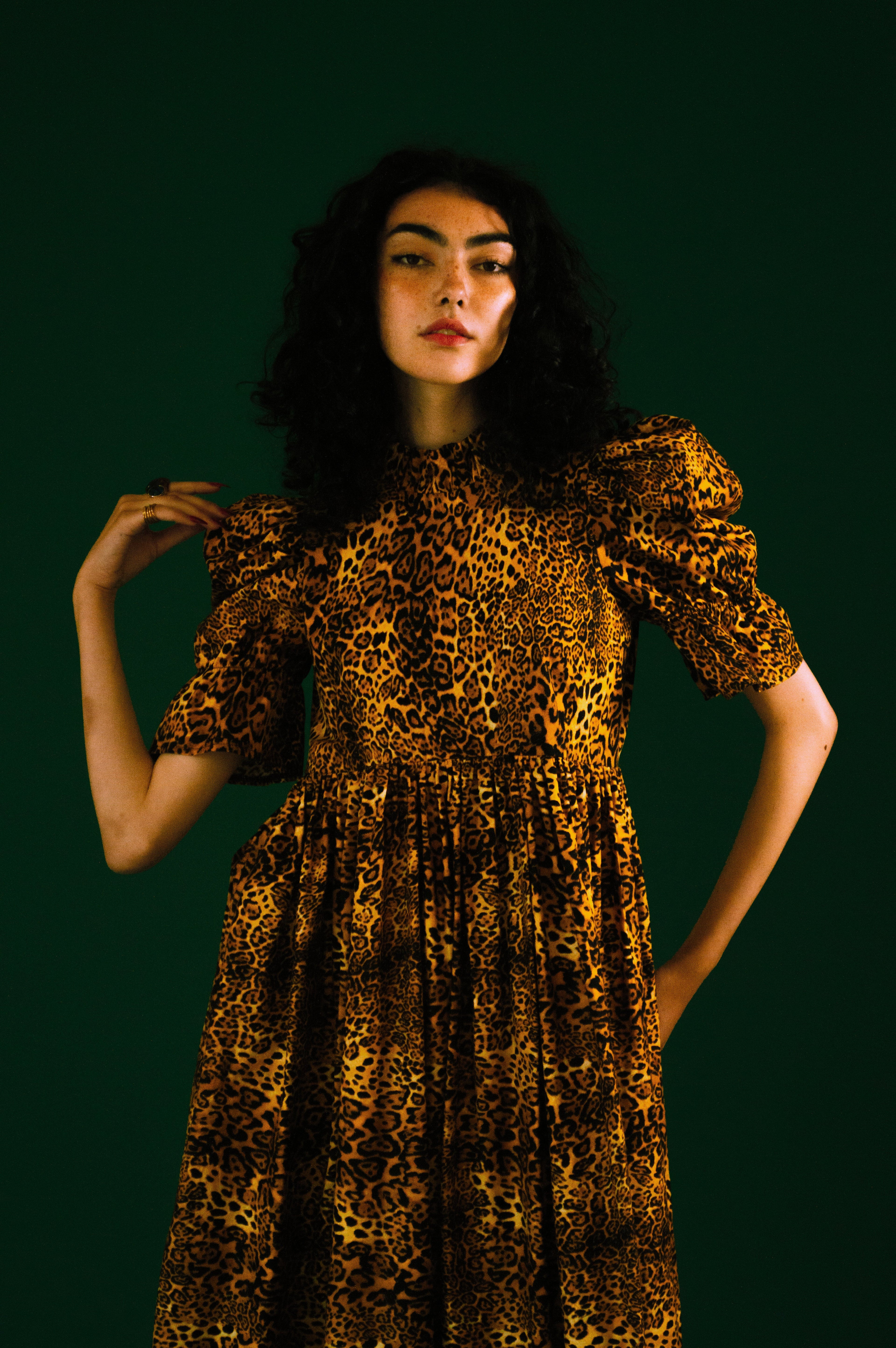 Quentin in Leopard