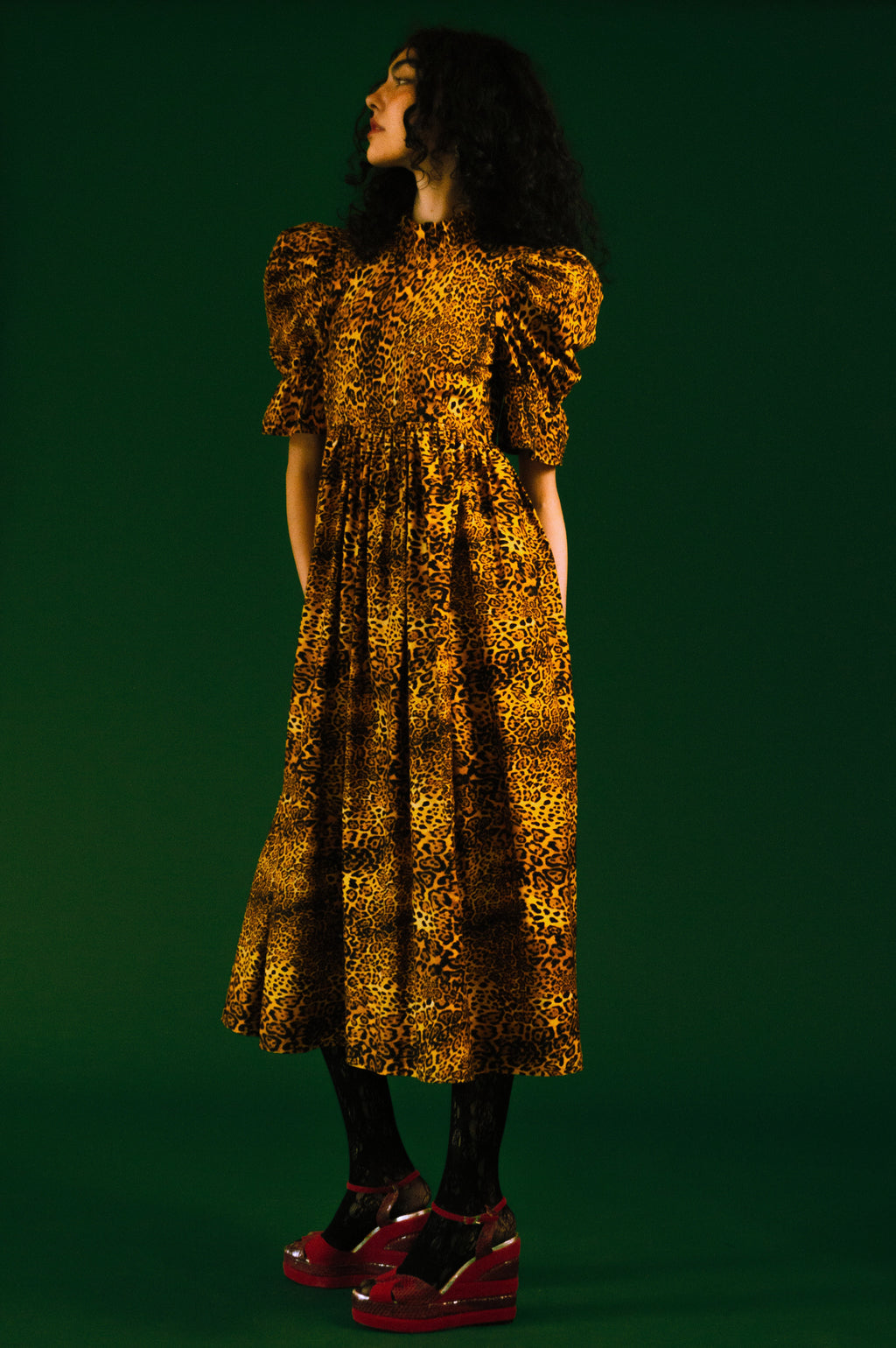 Quentin in Leopard