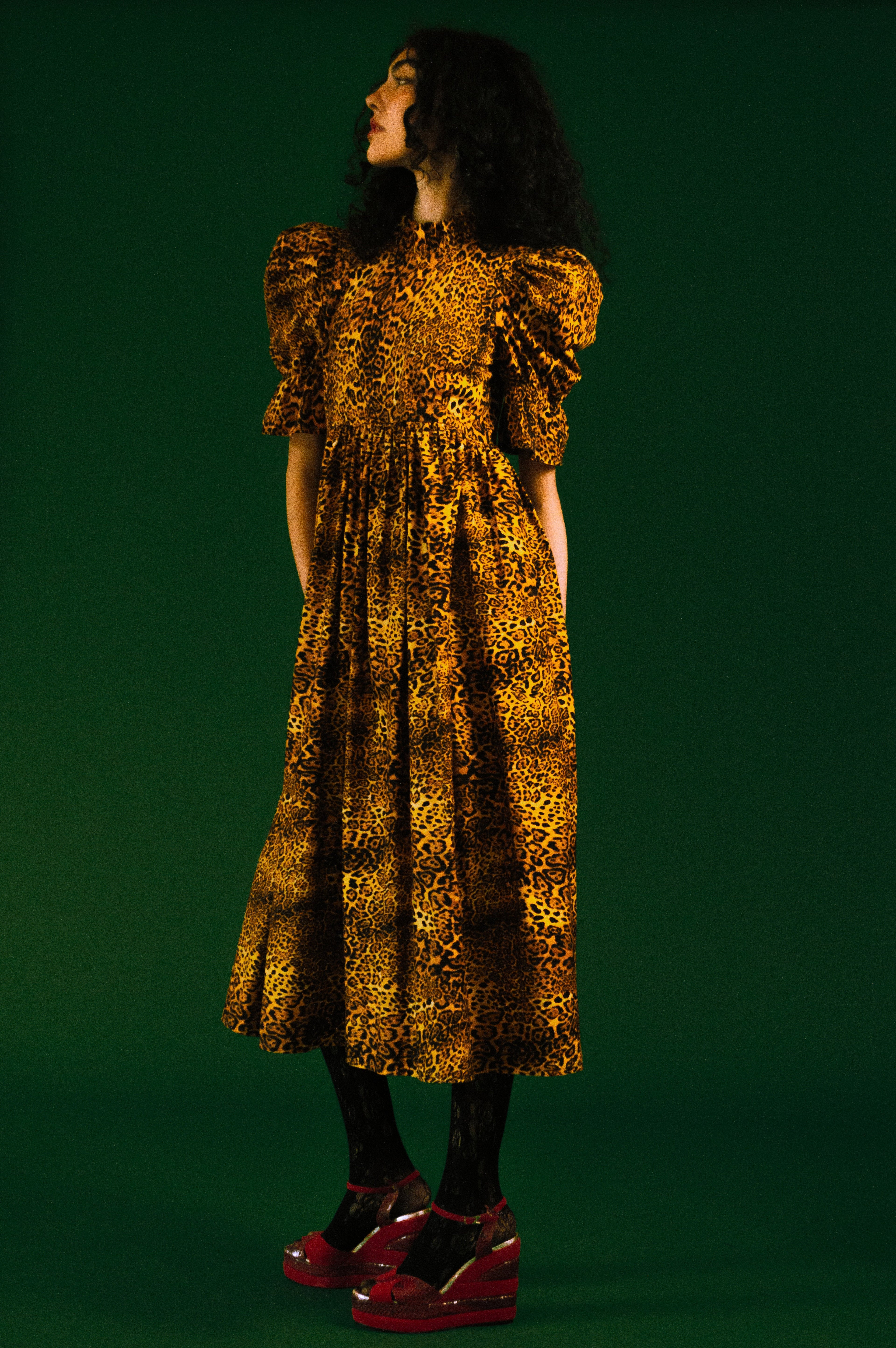 Quentin in Leopard