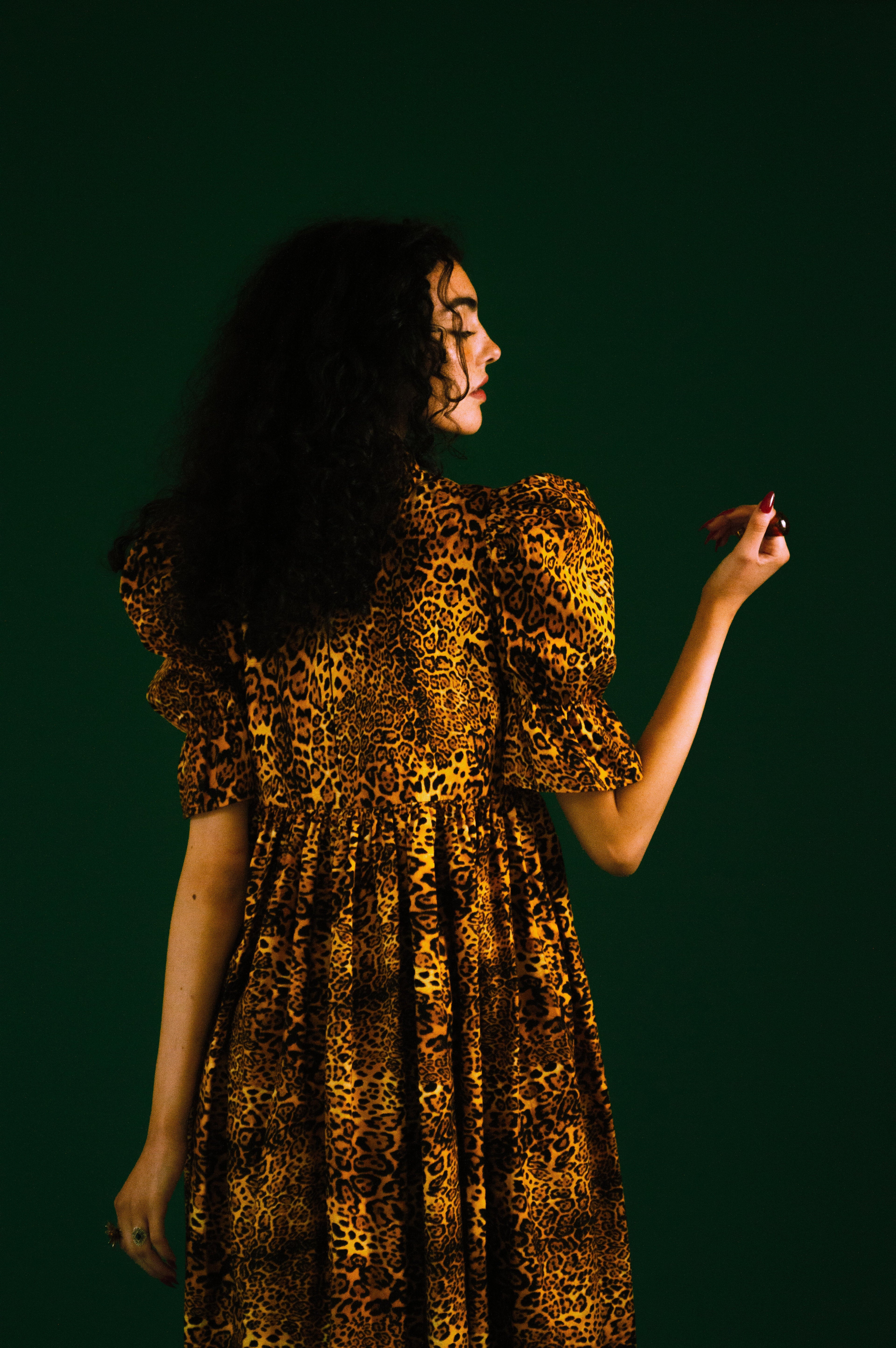 Quentin in Leopard