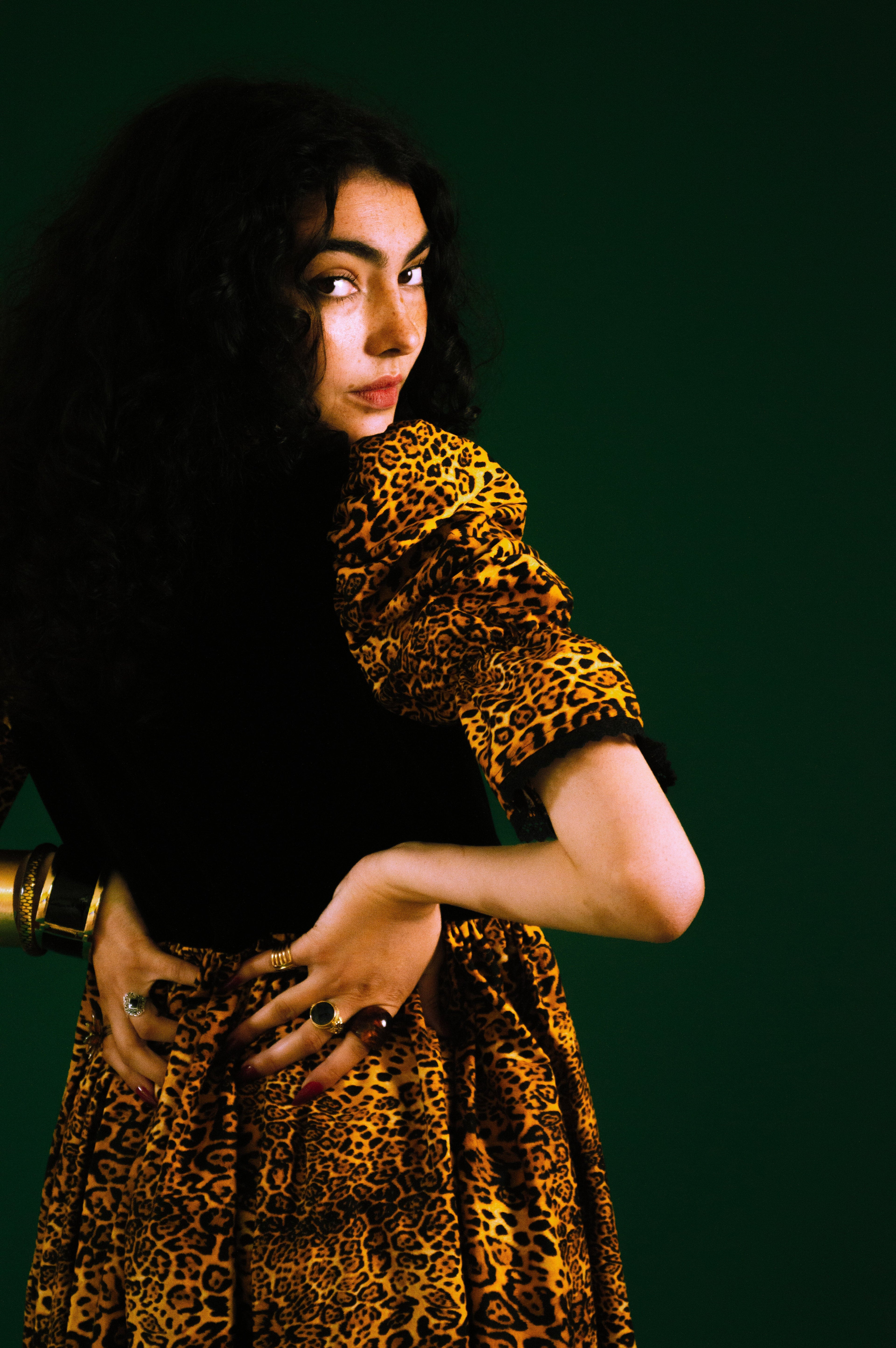 Quentin in Leopard & Black Velvet
