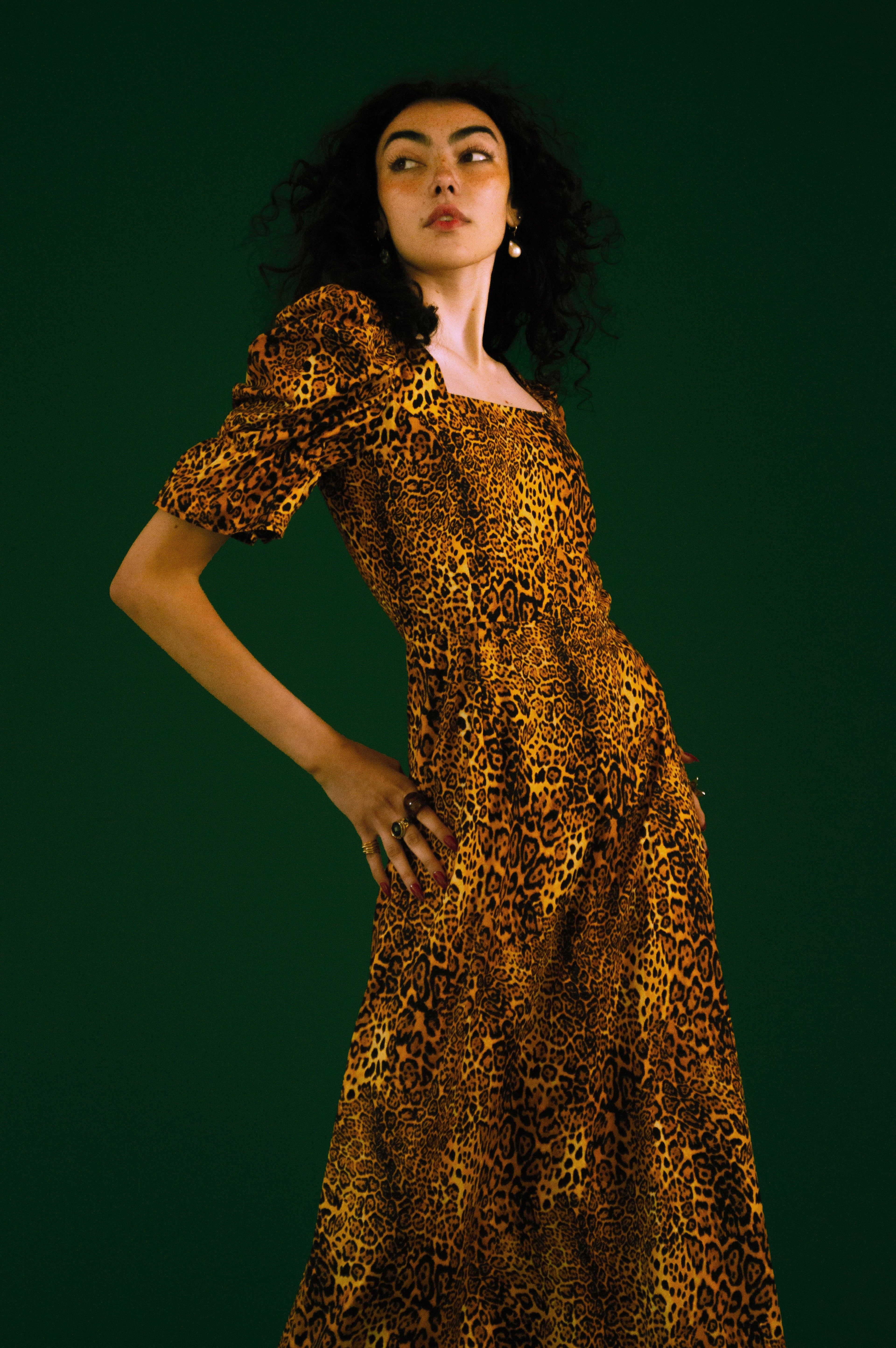 Gatsby in Leopard